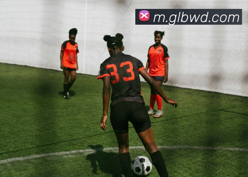 问鼎官网入口APP 封面图